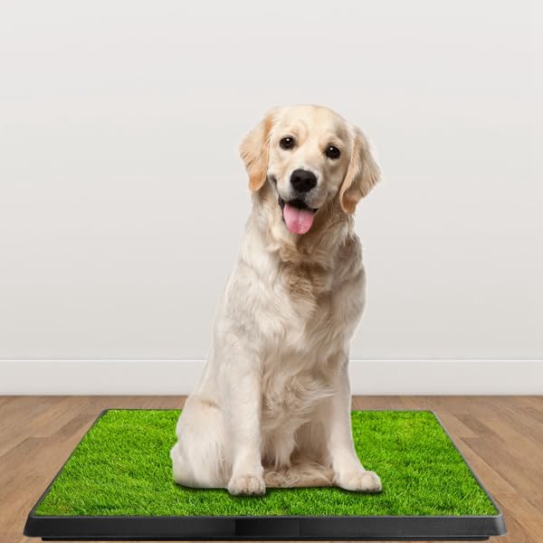 Indoor Outdoor Dog Potty with Artificial Turf Grass Mat 25x20 in S33553