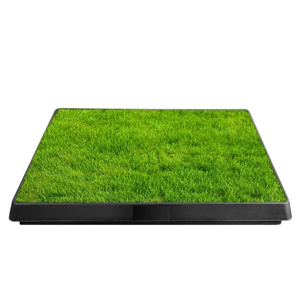 Indoor Outdoor Dog Potty with Artificial Turf Grass Mat 25x20 in S33553