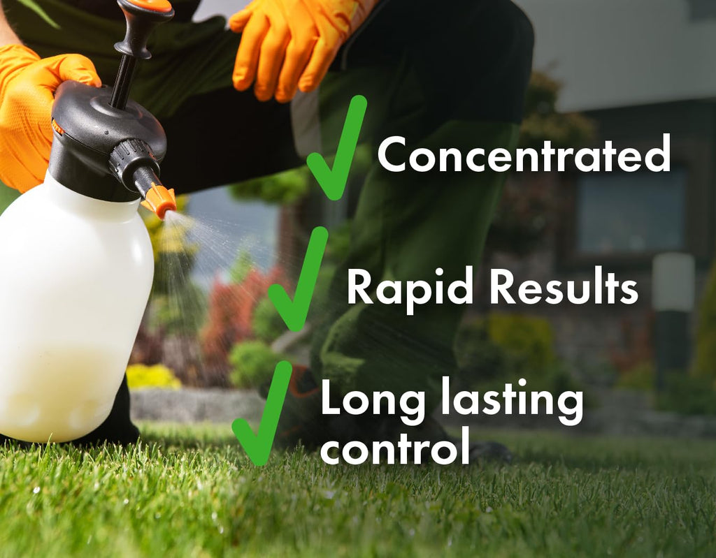 Concentrated Broad Spectrum Lawn Weed Killer K6977