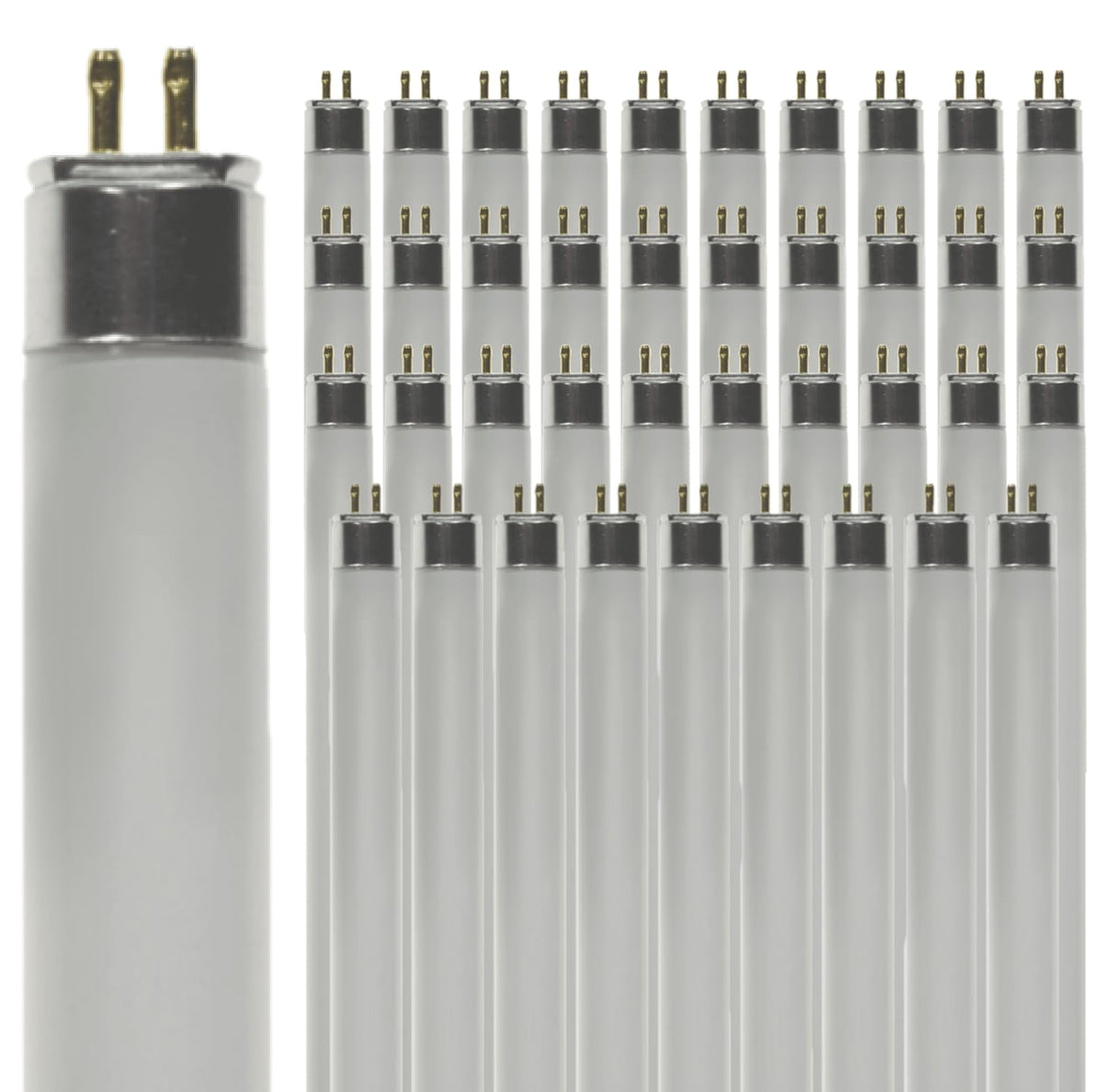 24 Inch 24W 4100K Cool White T5 Fluorescent Bulb Pack of 40 G915