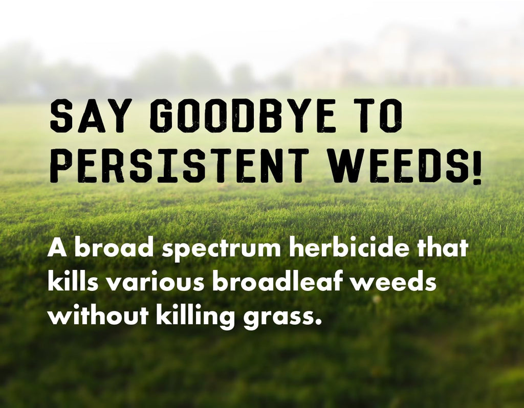 Concentrated Broad Spectrum Lawn Weed Killer K6977