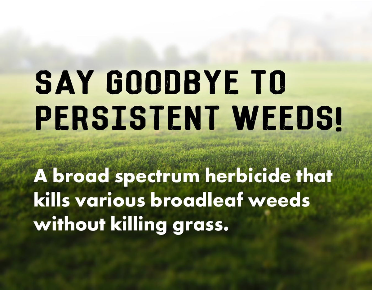 Concentrated Broad Spectrum Lawn Weed Killer K6977