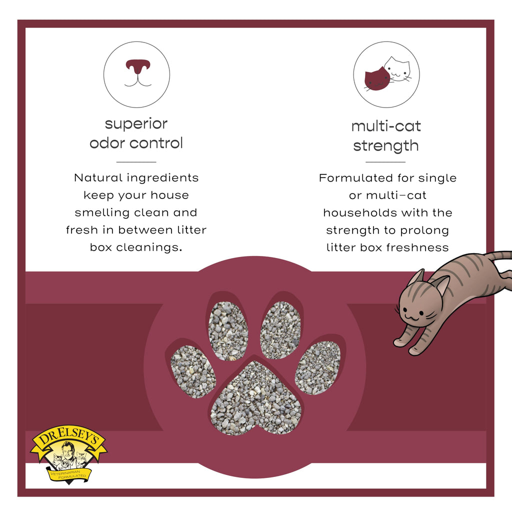 Clumping Cat Litter 40 lb Bag A168