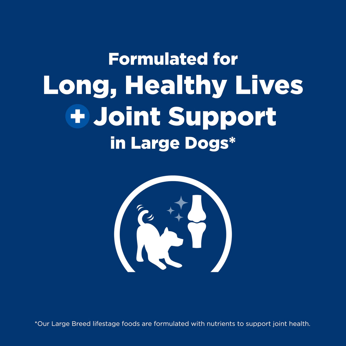 Dry Dog Food J55455
