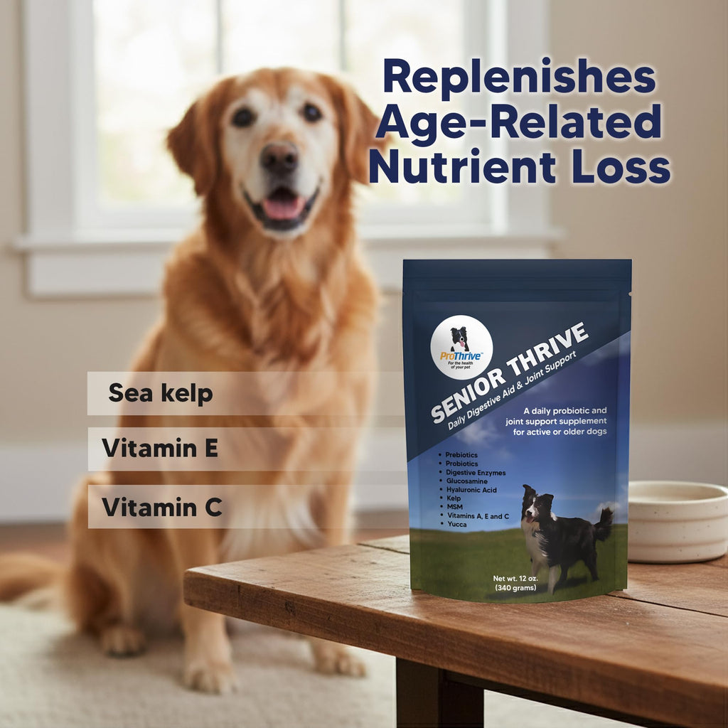12 Oz Senior Dog Digestive & Joint Supplement J282851