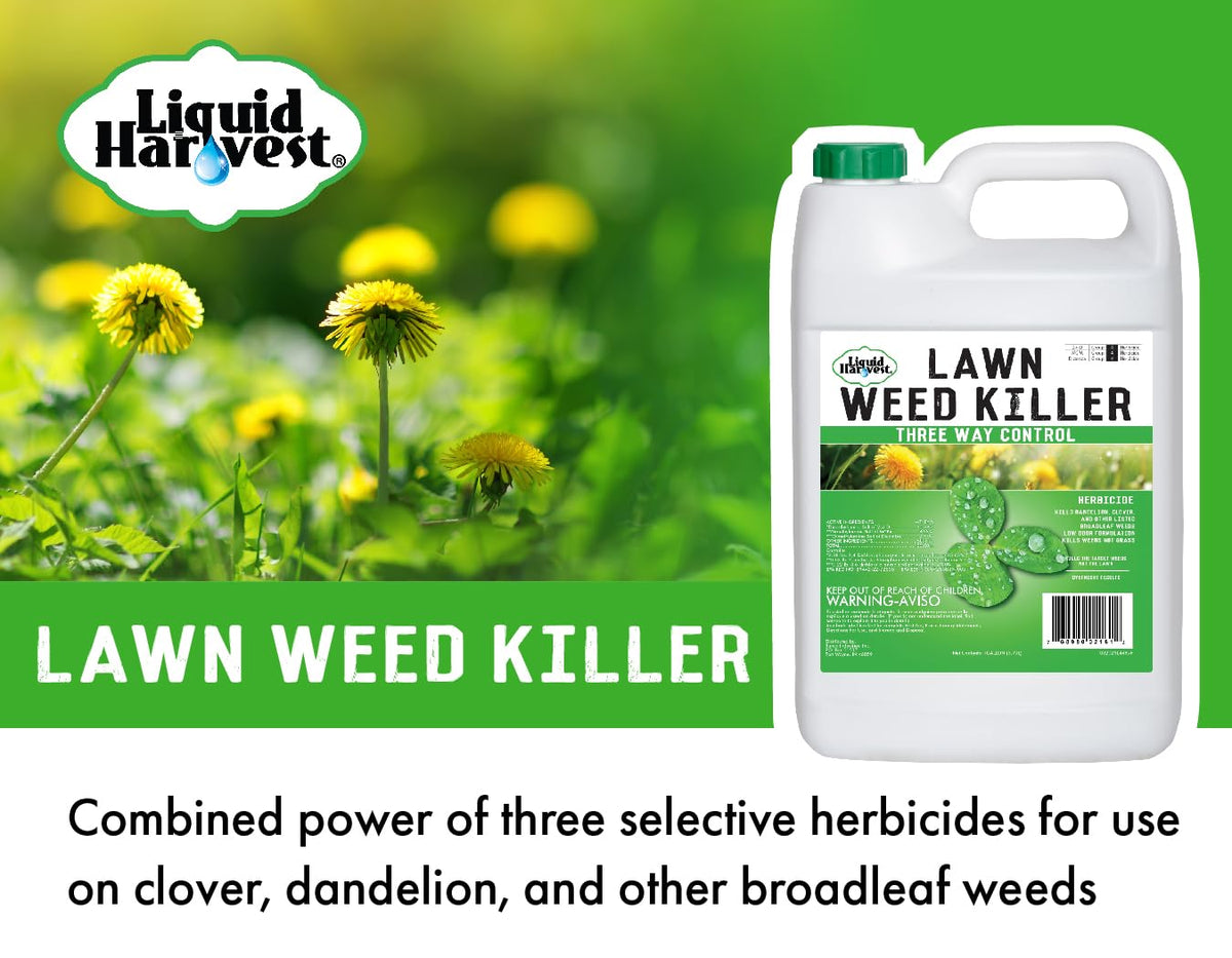 Concentrated Broad Spectrum Lawn Weed Killer K6977
