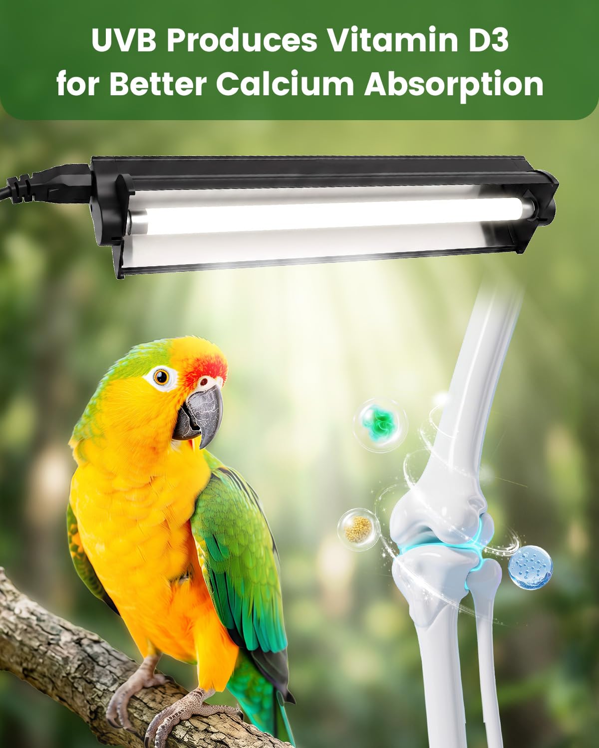 8W Bird Lamp P258