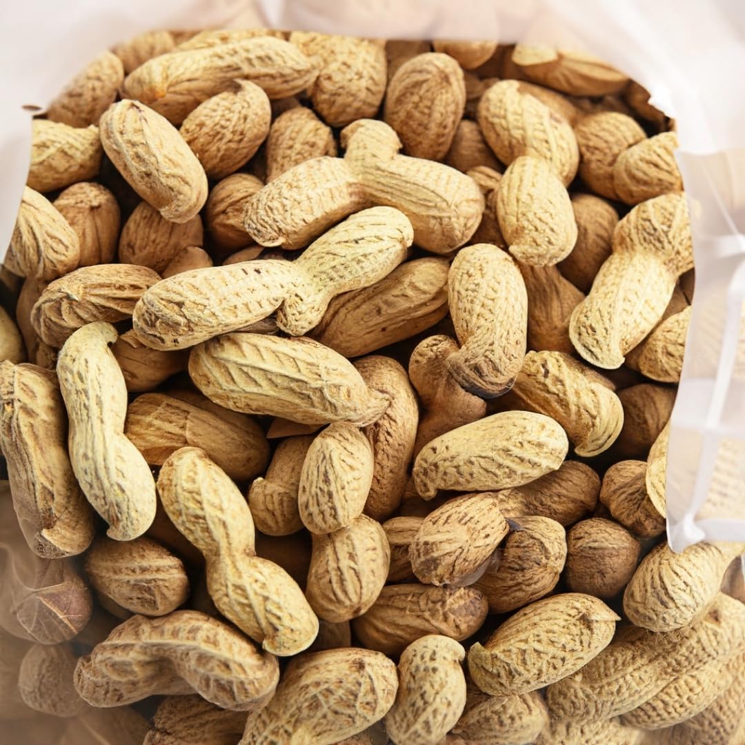 10 LB Unroasted Peanuts in the Shell J839