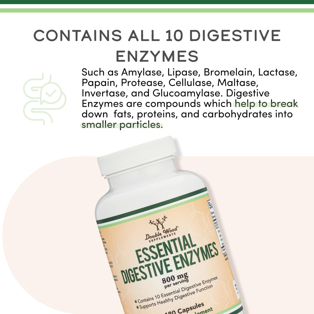 Digestive Enzymes 800mg A58648