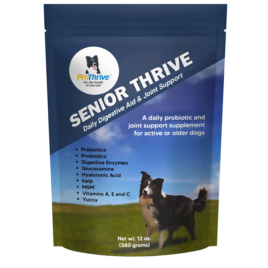 12 Oz Senior Dog Digestive & Joint Supplement J282851