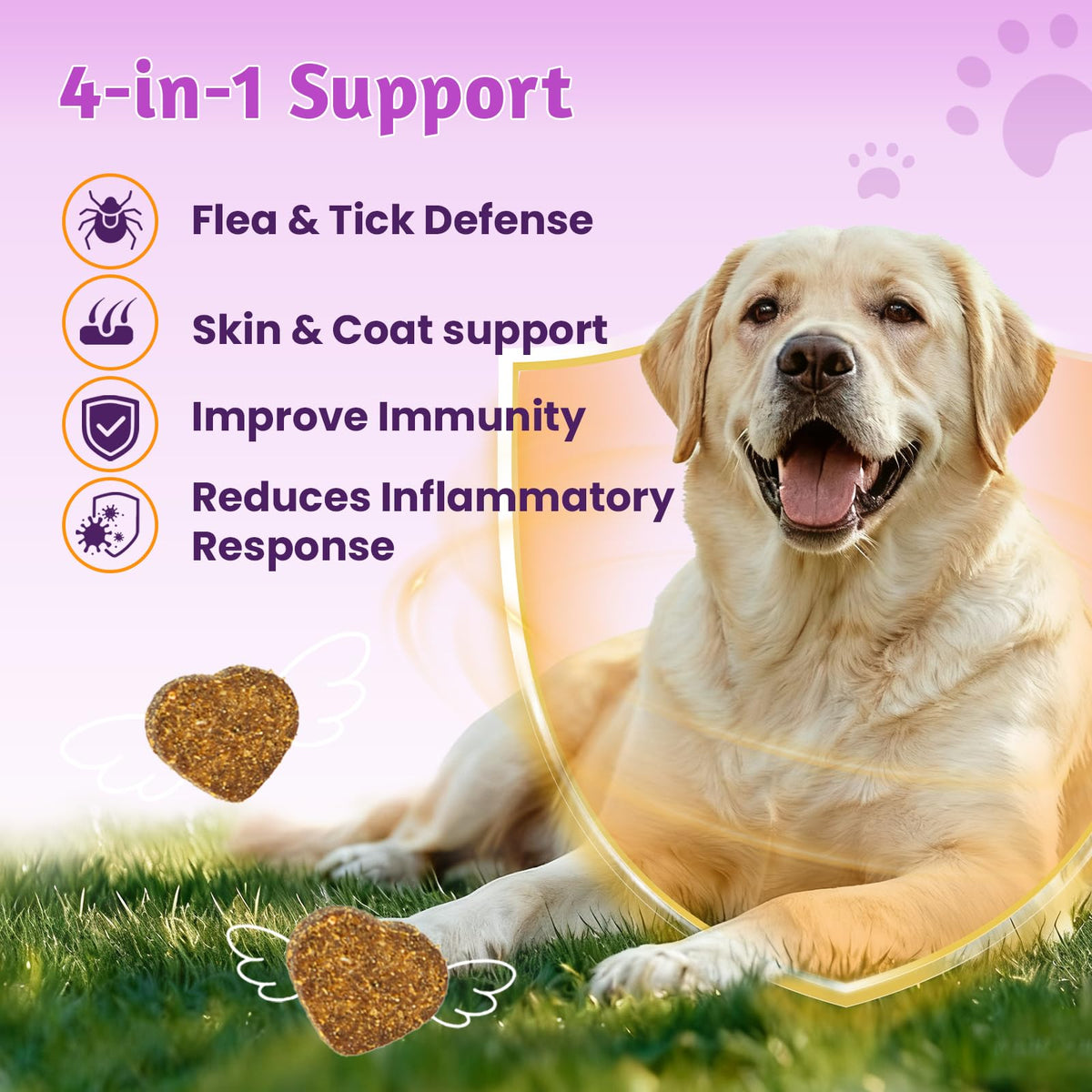 Dog Flea and Tick Treatment Soft Chews H3881