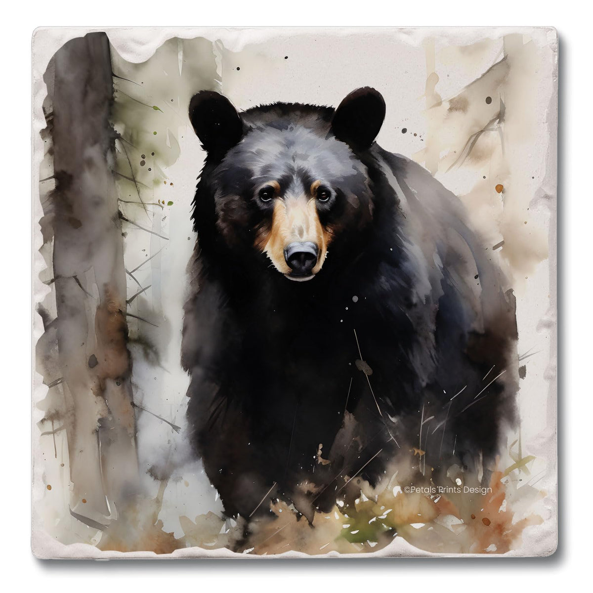 Black Bear Coasters X33504