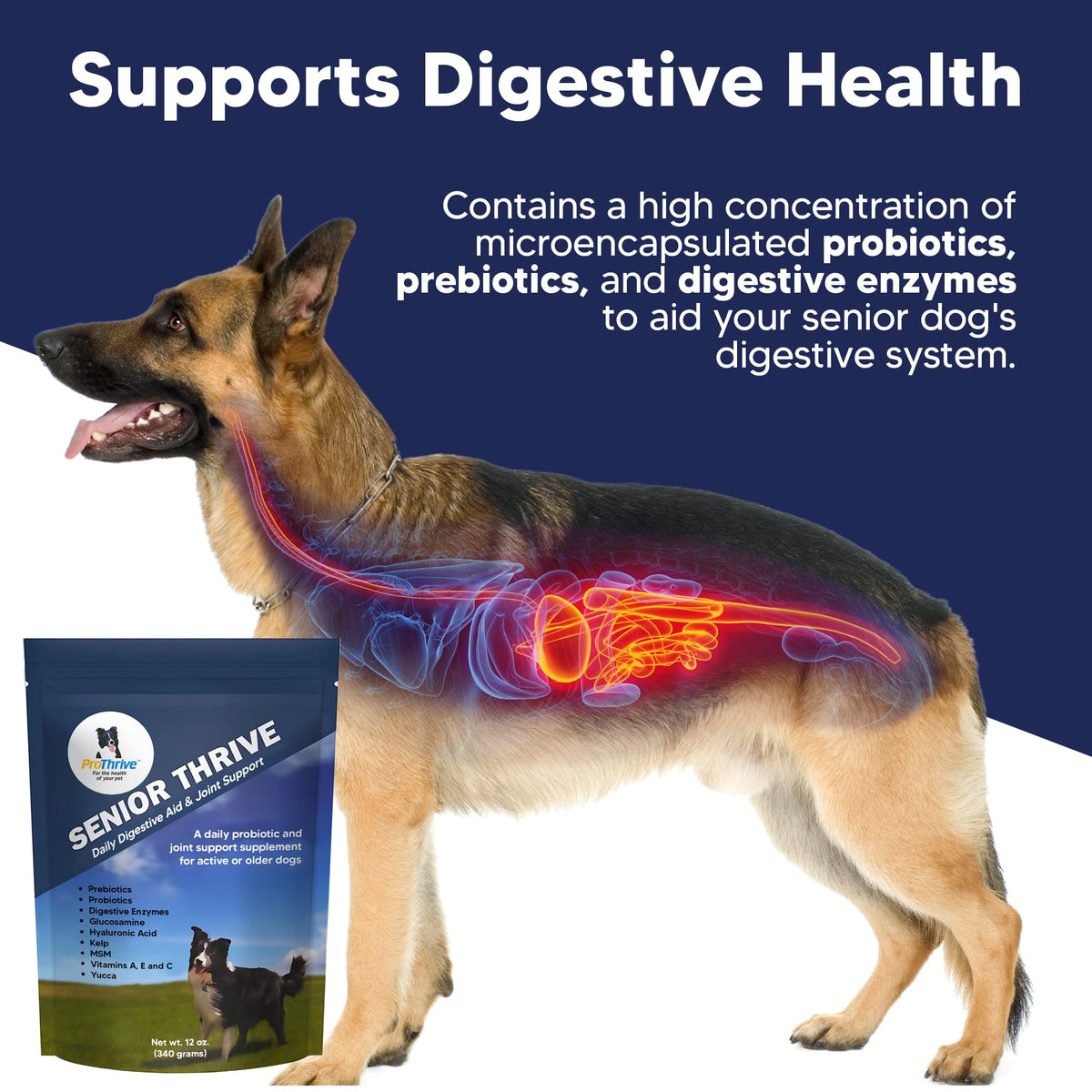 12 Oz Senior Dog Digestive & Joint Supplement J282851