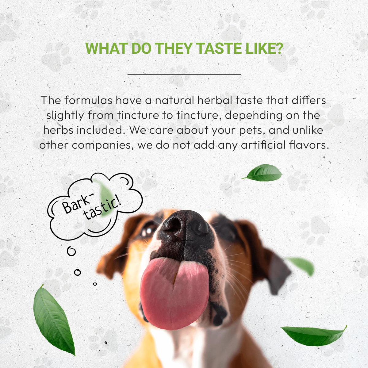 Herbal Dietary Supplement for Dogs 2 oz P1098
