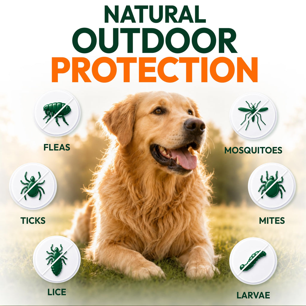 Flea and Tick Prevention for Dogs Chews V343044