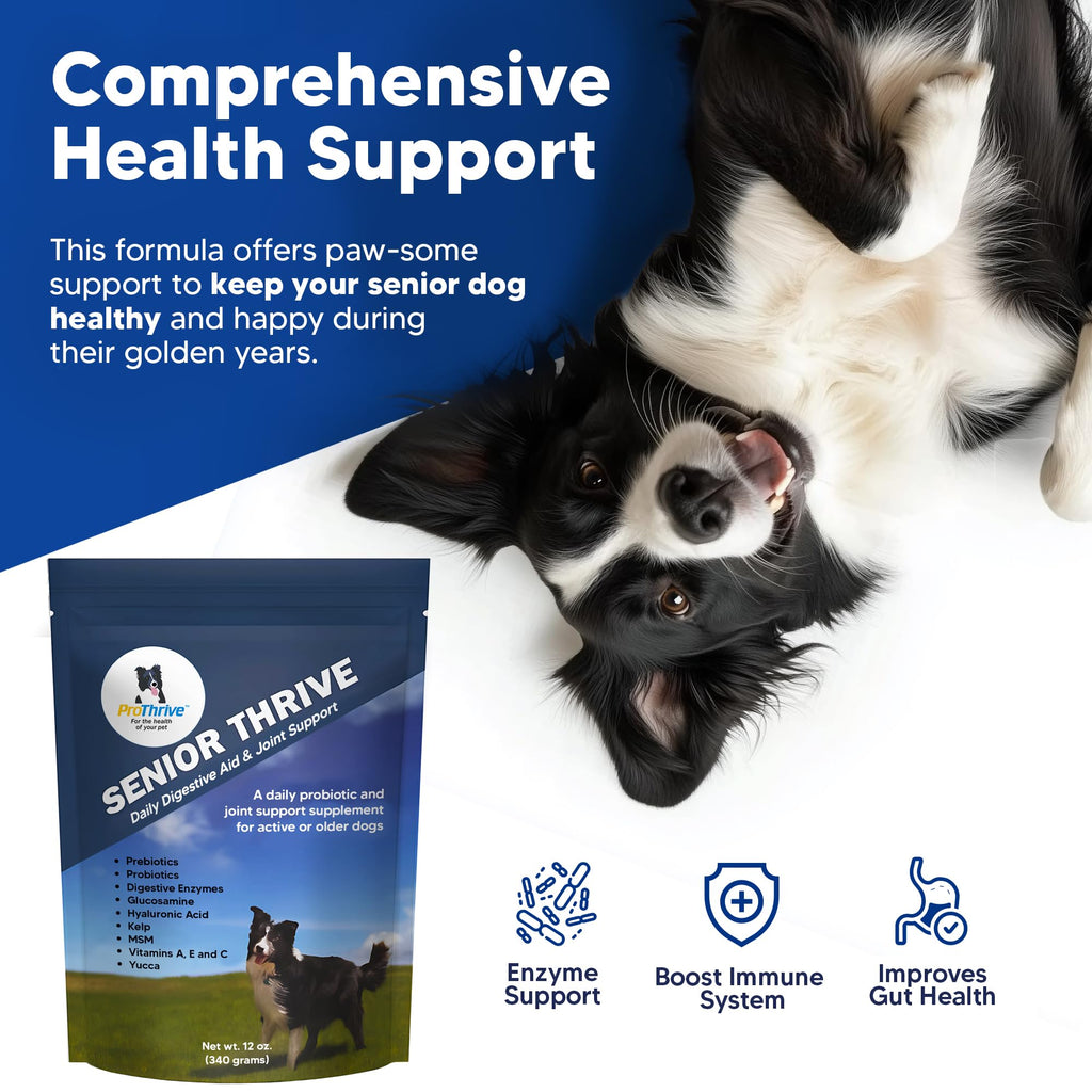 12 Oz Senior Dog Digestive & Joint Supplement J282851