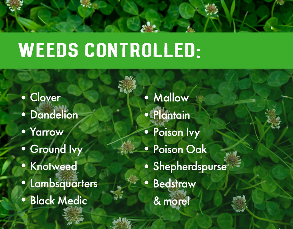 Concentrated Broad Spectrum Lawn Weed Killer K6977