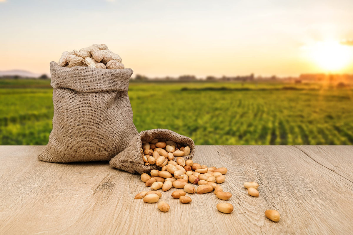 Raw Peanuts in Shell 2 Pound Bag (3-Pack) O5558