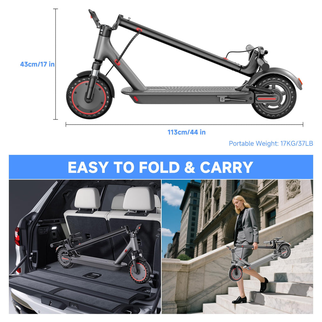 Folding Electric Scooter with 250W-500W Motor E9658