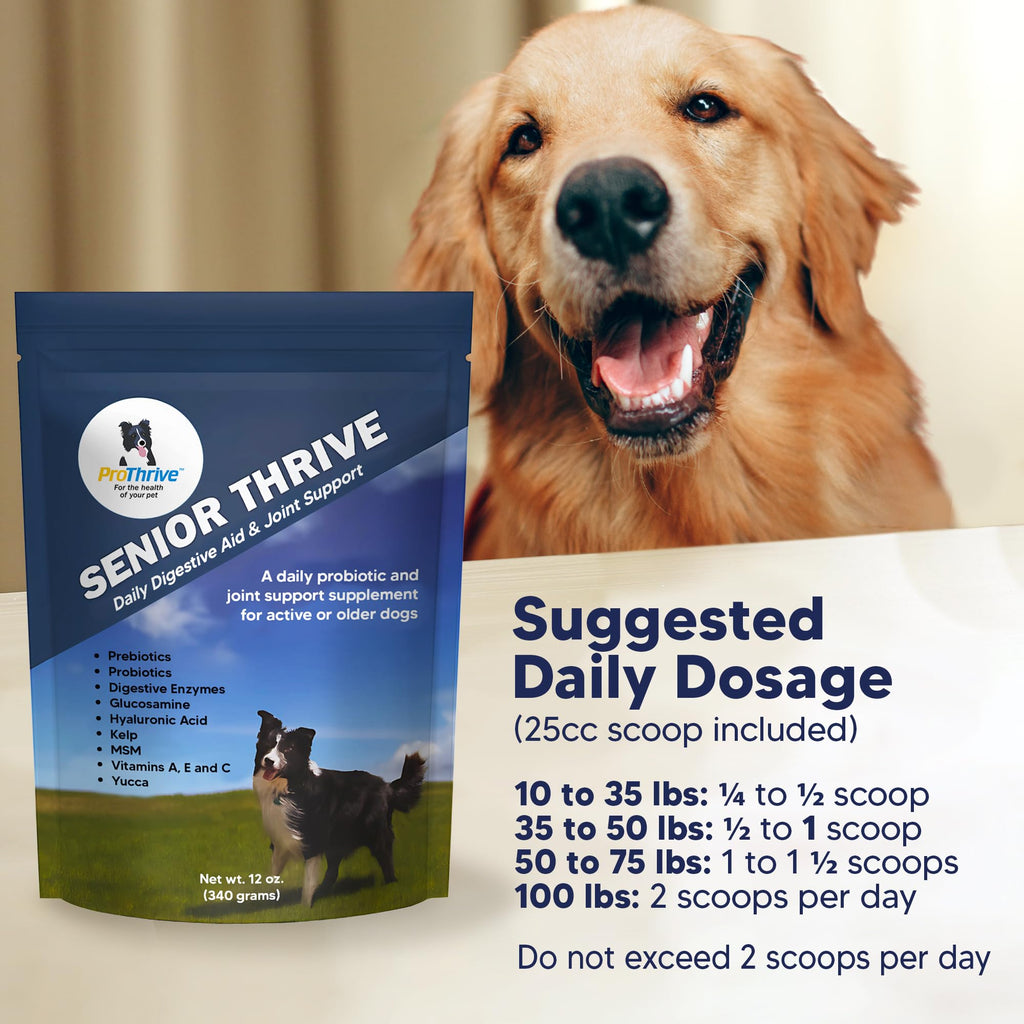 12 Oz Senior Dog Digestive & Joint Supplement J282851