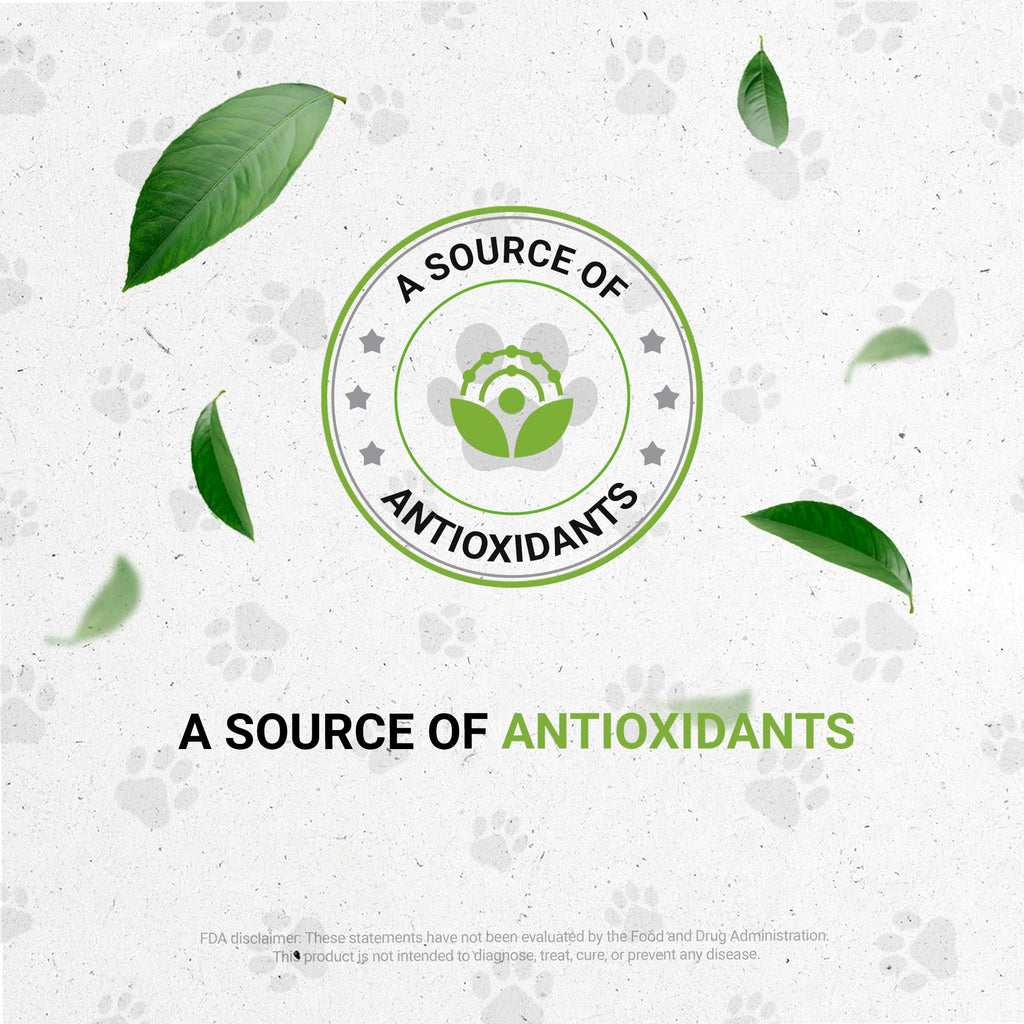 Herbal Dietary Supplement for Dogs 2 oz P1098