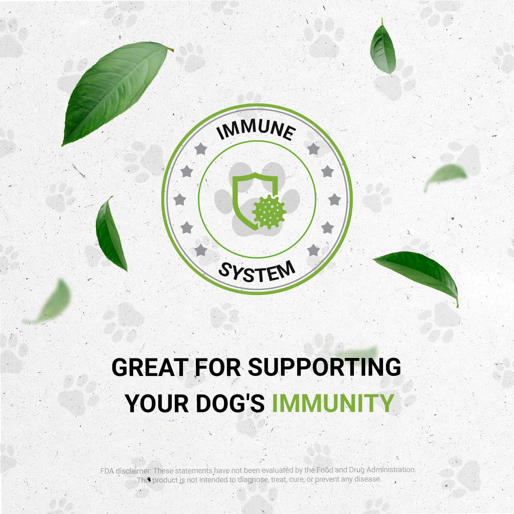 Herbal Dietary Supplement for Dogs 2 oz P1098