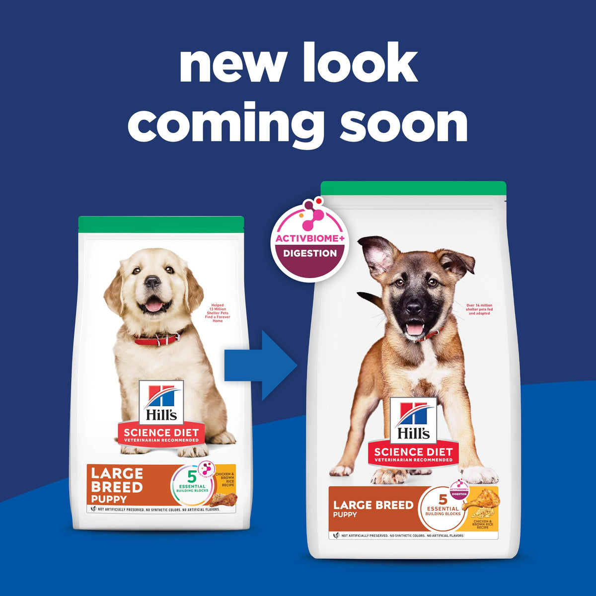 Dry Dog Food J55455