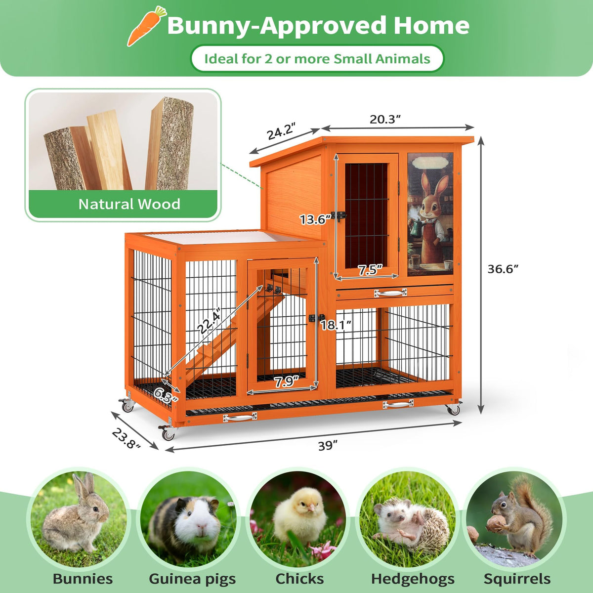 Rabbit Hutch with Wire Floor & Removable Tray N690517