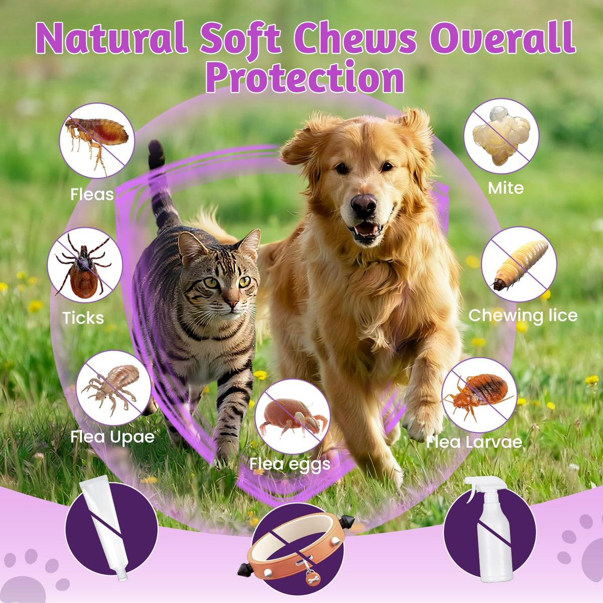 Dog Flea and Tick Treatment Soft Chews H3881
