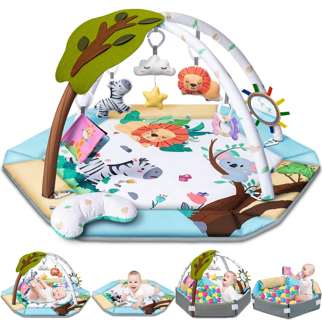 8-in-1 Tummy Time Play Mat & Ball Pit with 6 Toys P53603