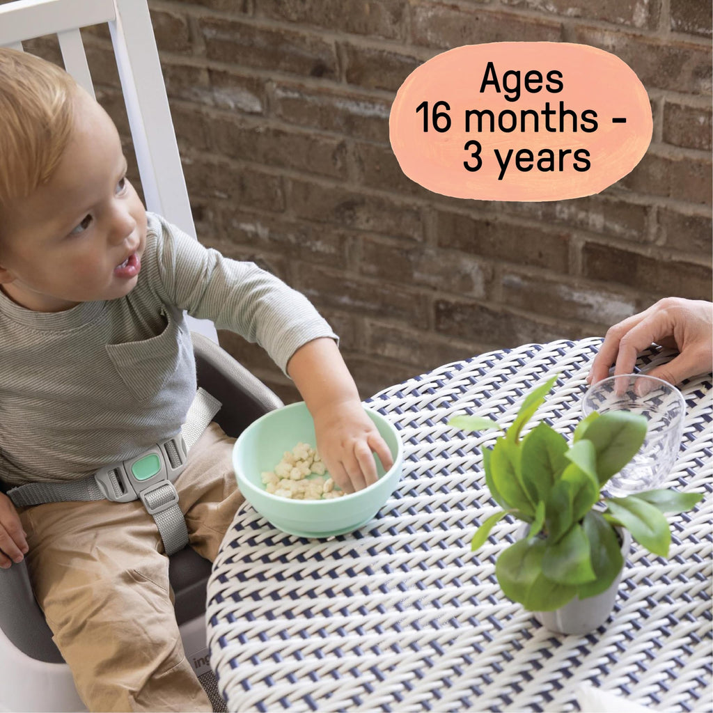 Lightweight Easy-Clean Toddler Booster Seat W5603