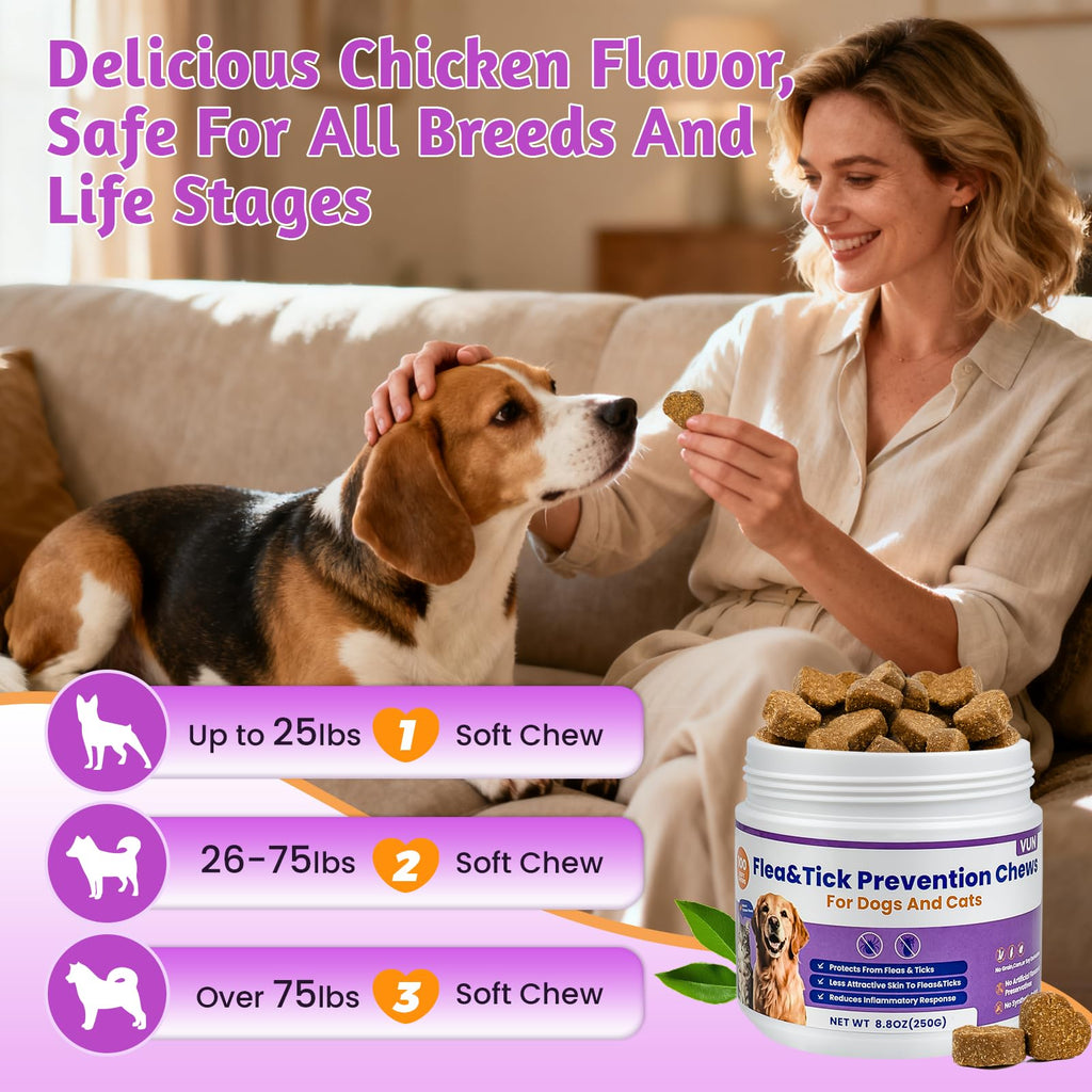 Dog Flea and Tick Treatment Soft Chews H3881