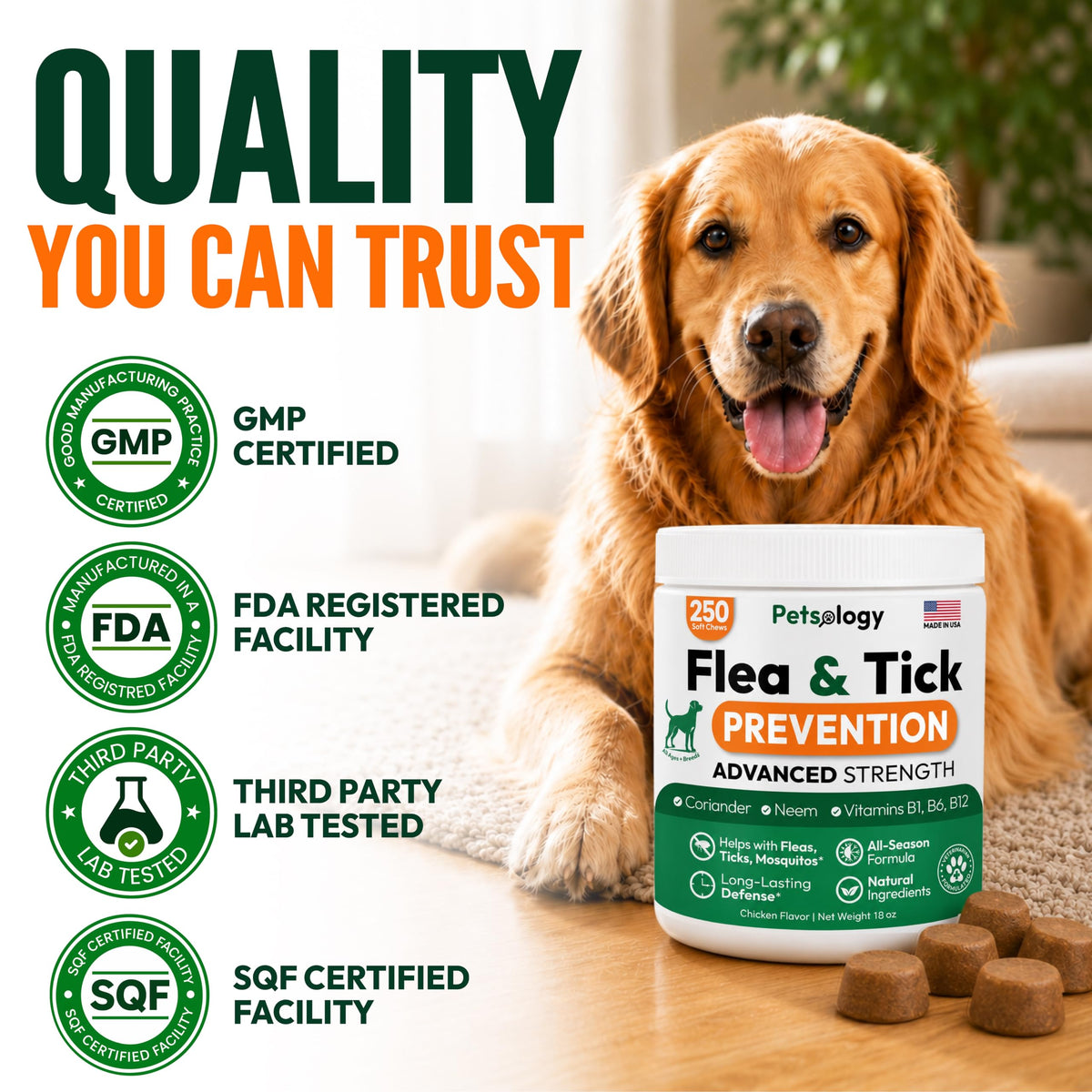 Flea and Tick Prevention for Dogs Chews V343044
