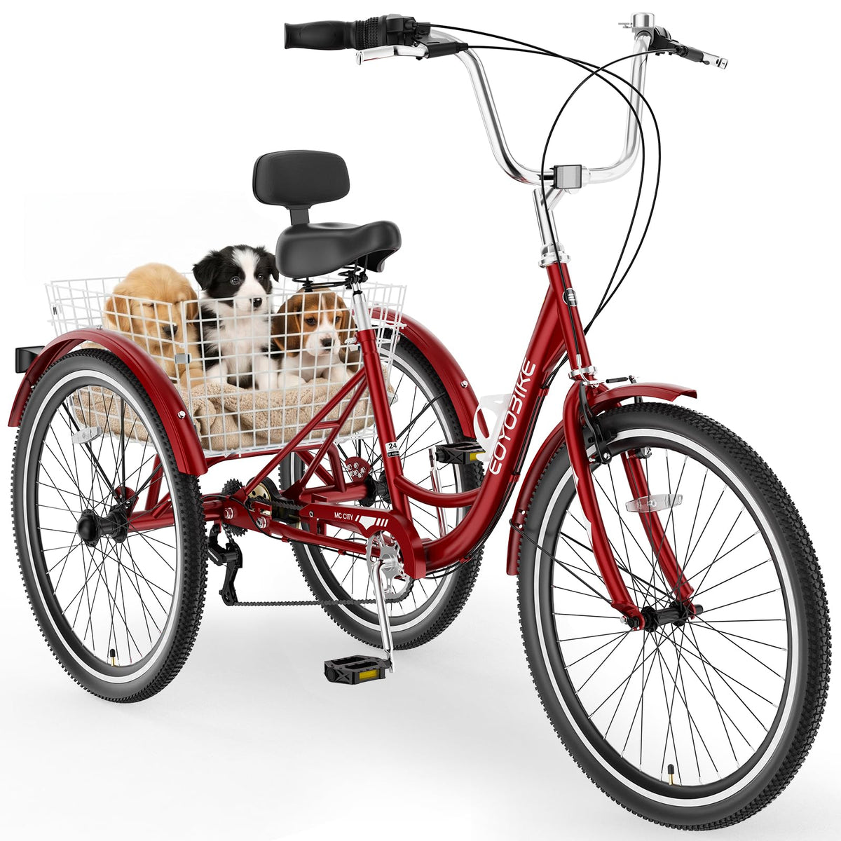 20/24/26 Inch 3 Wheel Bike T37853
