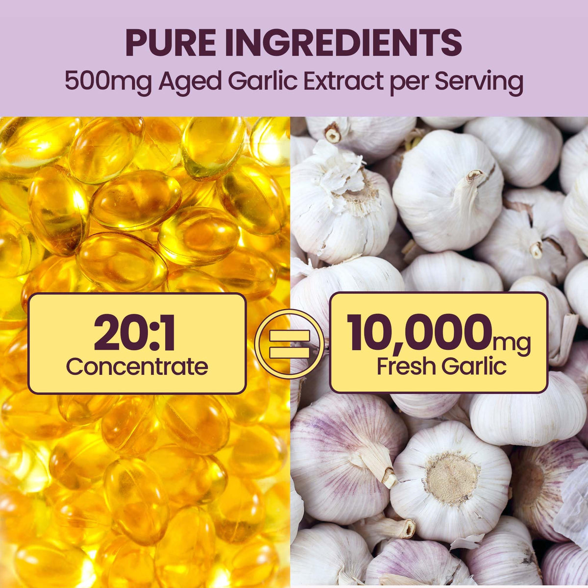 Aged Garlic Extract Softgels 10000mg 300 Count J93912