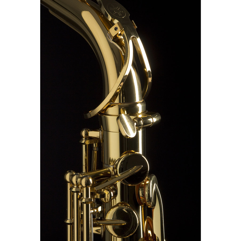 Alto Saxophone Eb Gold Lacquer E59727