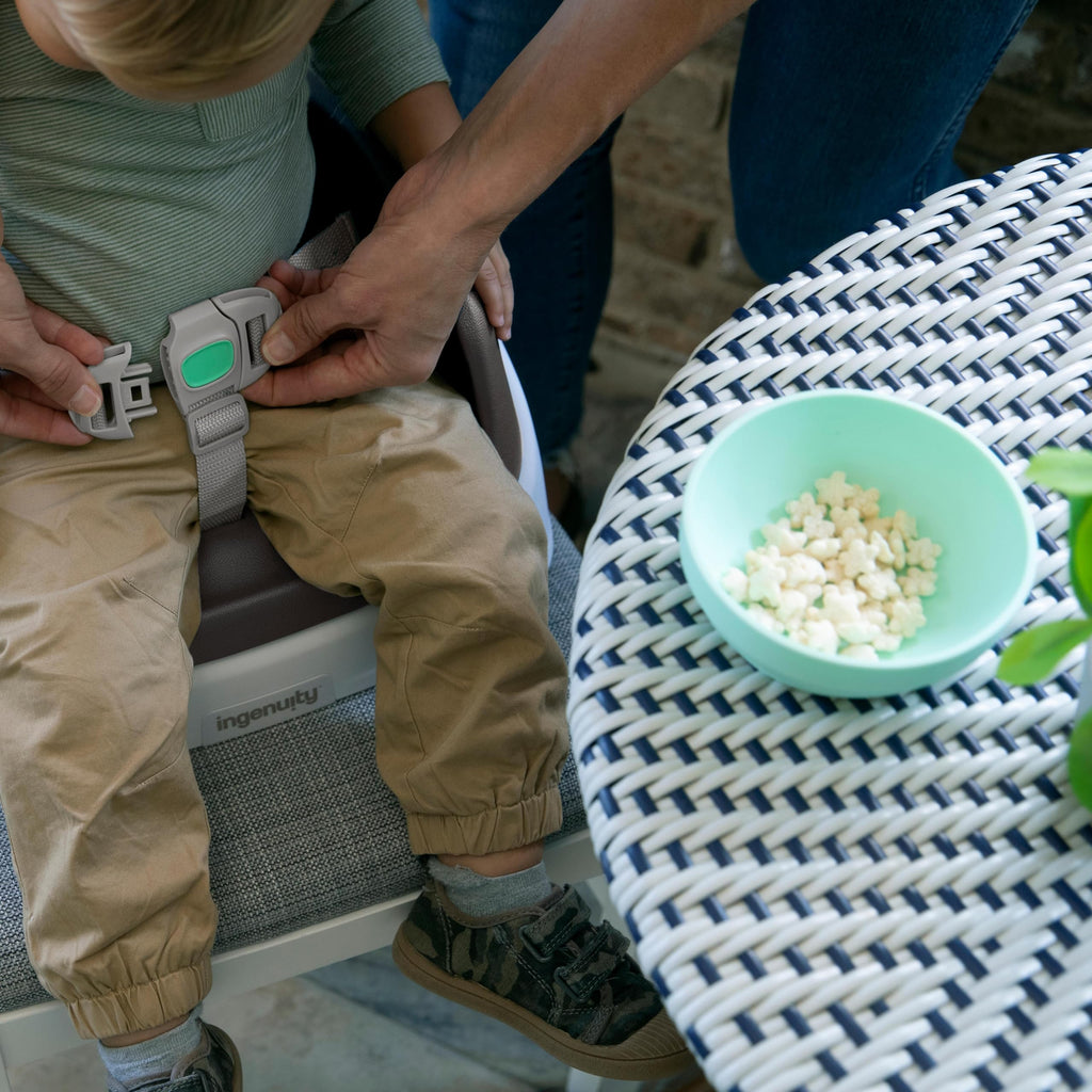 Lightweight Easy-Clean Toddler Booster Seat W5603