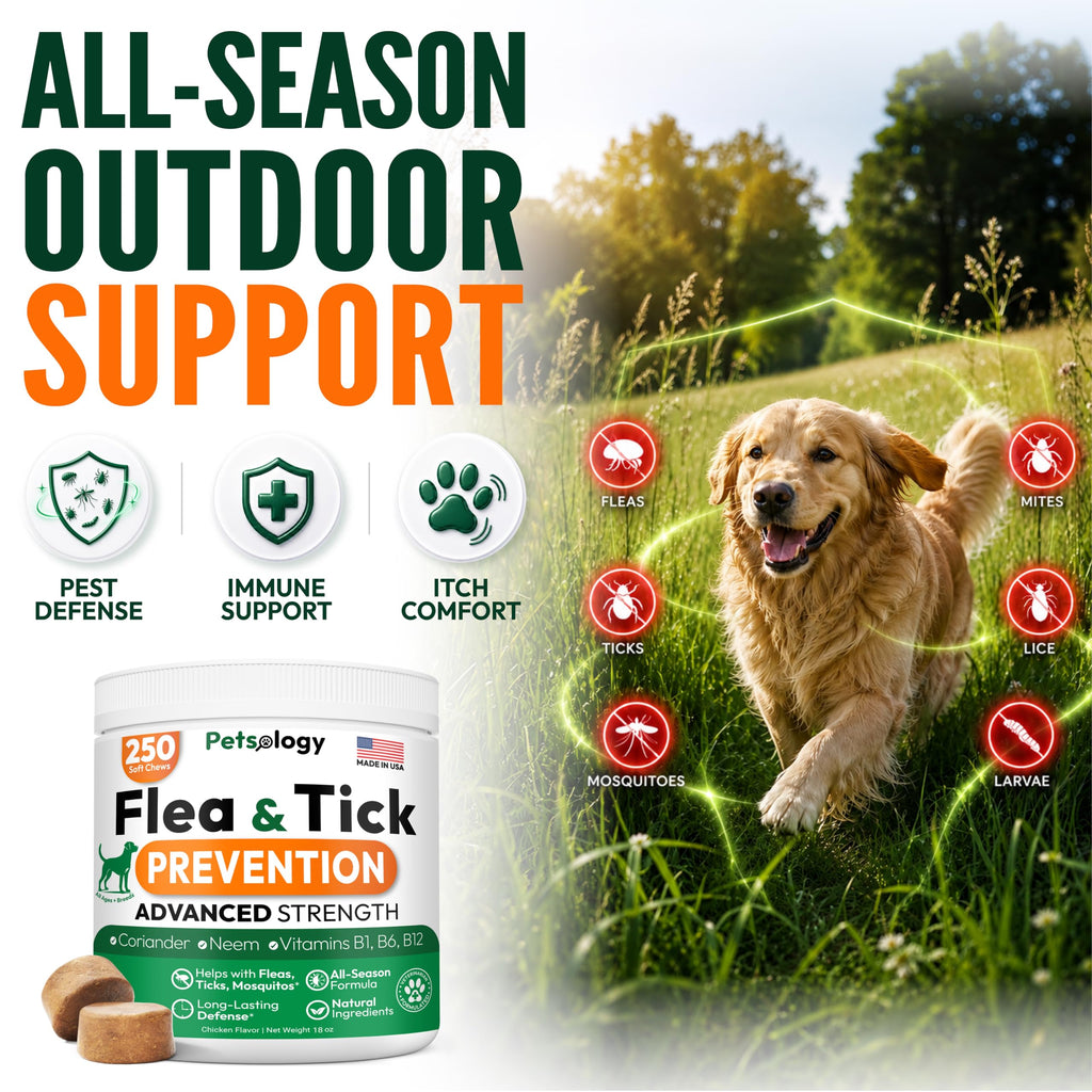 Flea and Tick Prevention for Dogs Chews V343044